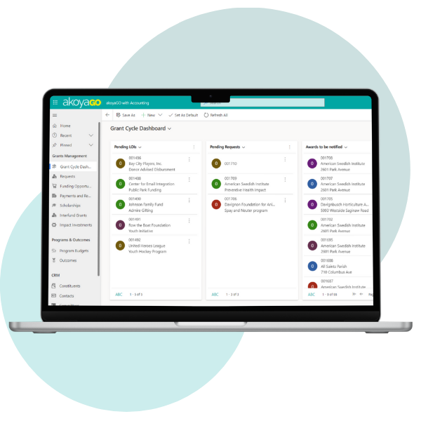 Visual of an akoyaGO Dashboard